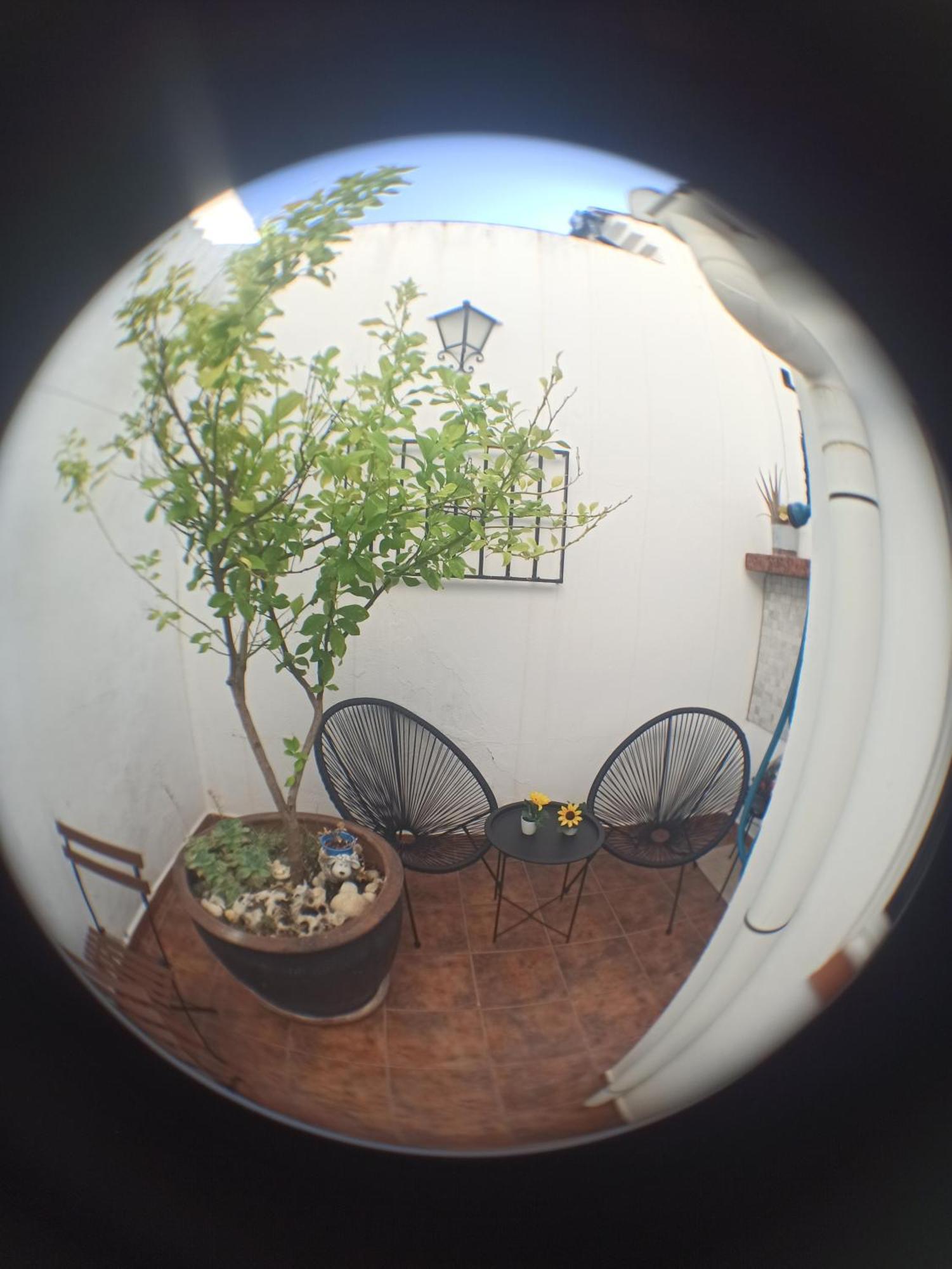 Casa El Patio En Appartamento